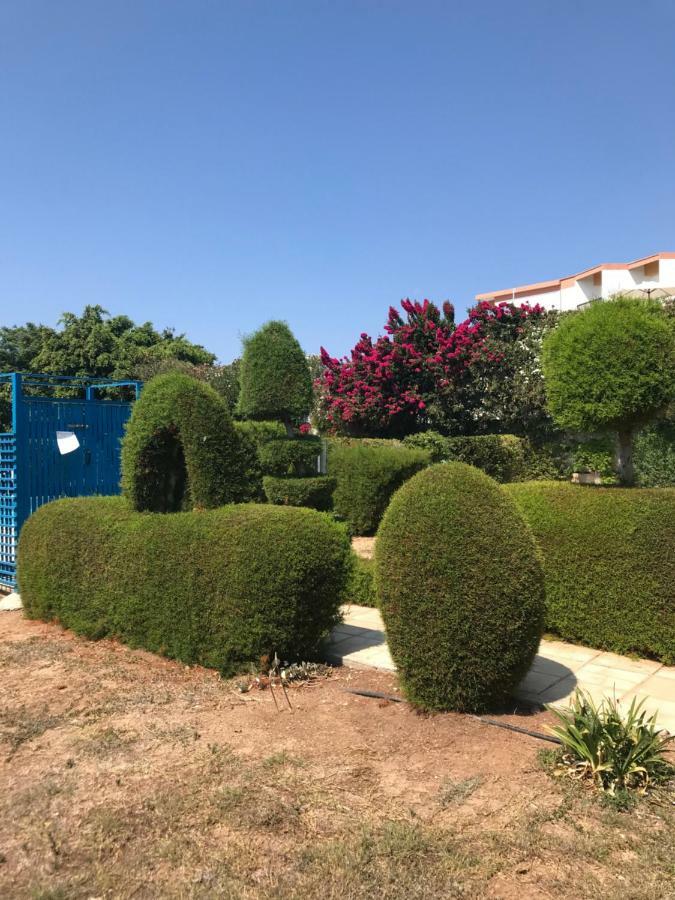 2 Bedroom Apartment-Mediterranean Type Πάφος Εξωτερικό φωτογραφία